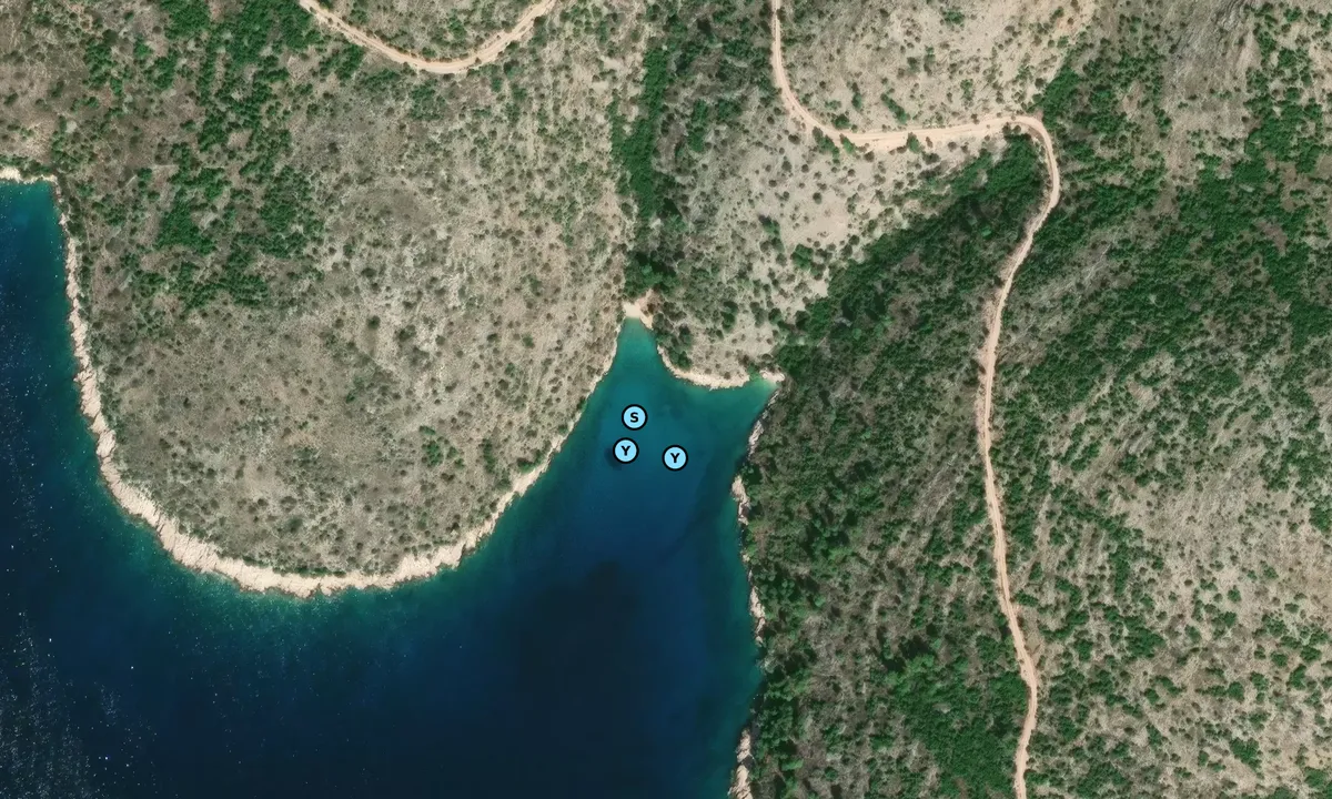 Satelite image of Lozna