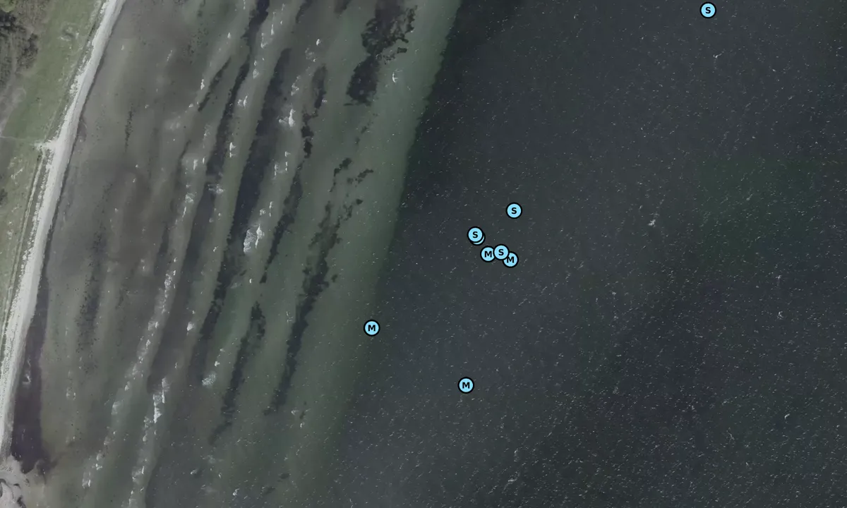 Satelite image of Lundeborg Purre Skov bouy