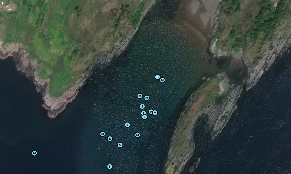 Satelite image of Lussa Bay, Jura