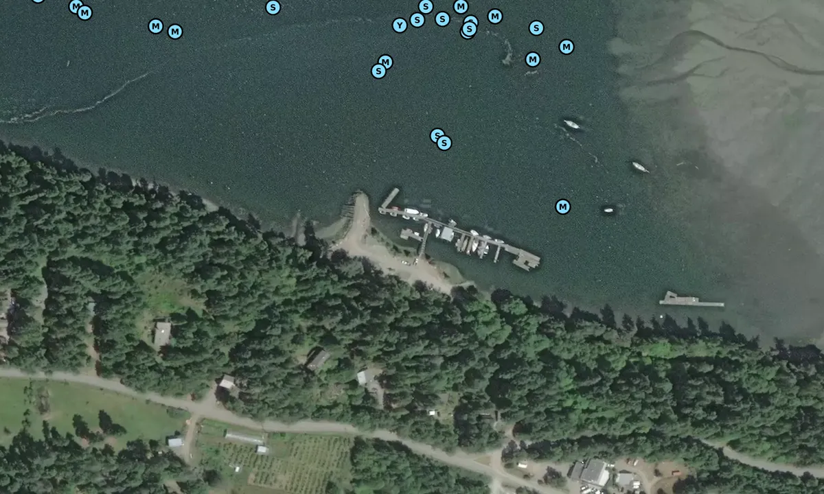 Satelite image of Lyall Harbour Marina