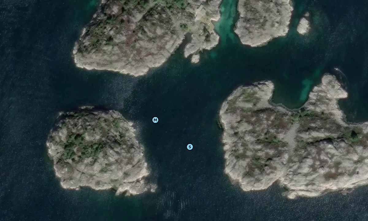 Satelite image of Lyngholmane - Høvåg