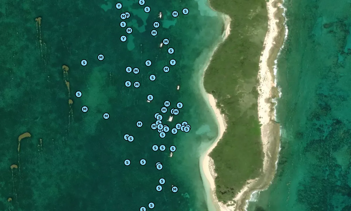 Satelite image of Lynyard Cay