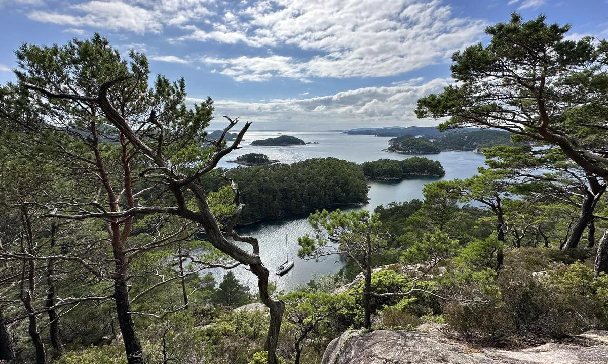 Lysevågen