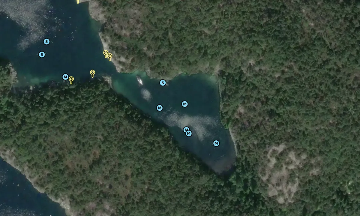 Satelite image of Lysevågen