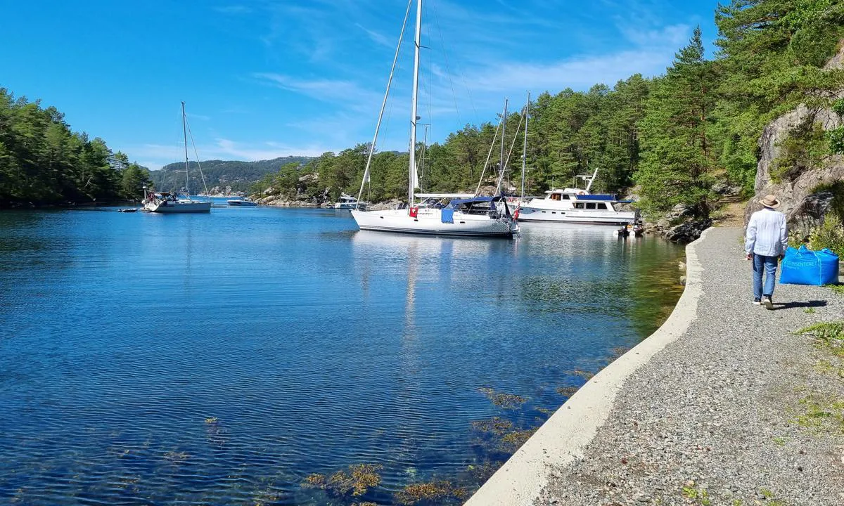 Lysevågen: Stien går langs vågen. Fint å gå tur her