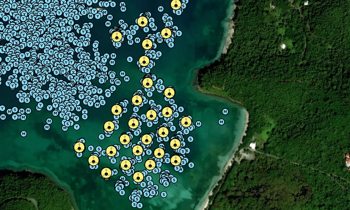 Satelite image of Maho Bay - Cruz Bay