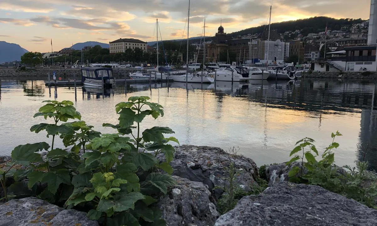 Main Port of Neuchatel: {"base": "de", "no": "Utsikt over byen Neuch\u00e2tel", "se": "Utsikt \u00f6ver staden Neuch\u00e2tel", "en": "View of the city of Neuch\u00e2tel", "da": "Udsigt til byen Neuch\u00e2tel", "fr": "Vue sur la ville de Neuch\u00e2tel", "de": "Sicht auf Stadt Neuch\u00e2tel", "es": "Vista de la ciudad de Neuch\u00e2tel", "it": "Vista sulla citt\u00e0 di Neuch\u00e2tel", "pt": "Vista da cidade de Neuch\u00e2tel", "nl": "Zicht op de stad Neuch\u00e2tel", "pl": "Widok na miasto Neuch\u00e2tel", "uk": "\u0412\u0438\u0434 \u043d\u0430 \u043c\u0456\u0441\u0442\u043e \u041d\u0435\u0432\u0448\u0430\u0442\u0435\u043b\u044c", "ro": "Vedere spre ora\u0219ul Neuch\u00e2tel", "tr": "Neuch\u00e2tel \u015fehrinin g\u00f6r\u00fcn\u00fcm\u00fc", "el": "\u0398\u03ad\u03b1 \u03c3\u03c4\u03b7\u03bd \u03c0\u03cc\u03bb\u03b7 \u03c4\u03bf\u03c5 Neuch\u00e2tel", "cs": "Pohled na m\u011bsto Neuch\u00e2tel", "hu": "Kil\u00e1t\u00e1s Neuch\u00e2tel v\u00e1ros\u00e1ra", "fi": "N\u00e4kym\u00e4 Neuch\u00e2telin kaupunkiin", "bg": "\u0418\u0437\u0433\u043b\u0435\u0434 \u043a\u044a\u043c \u0433\u0440\u0430\u0434 \u041d\u044e\u0448\u0430\u0442\u0435\u043b", "sr": "\u041f\u043e\u0433\u043b\u0435\u0434 \u043d\u0430 \u0433\u0440\u0430\u0434 \u041d\u0435\u0432\u0448\u0430\u0442\u0435\u043b", "et": "Vaade Neuch\u00e2teli linnale", "lv": "Skats uz Ne\u0161atelas pils\u0113tu", "lt": "Vaizdas \u012f Neuch\u00e2tel miest\u0105"}