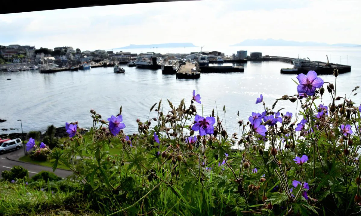 Mallaig Harbour Authority: Maillag.  Oversiktsfoto.  Det er nokre merka turstiar i området