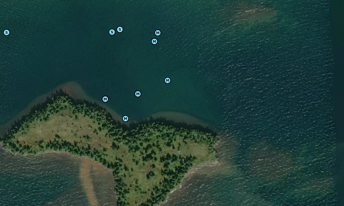 Satelite image of Malone Bay