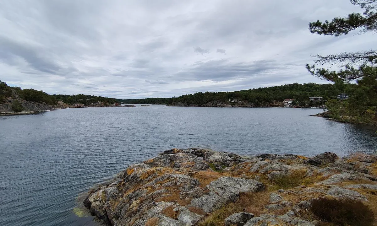Maløya: {"base": "no", "no": "Nordsiden av \u00f8ya. Litt utsatt for vind nordfra.", "se": "Nordsidan av \u00f6n. Lite utsatt f\u00f6r vind fr\u00e5n norr.", "en": "The north side of the island. Slightly exposed to winds from the north.", "da": "Nord\u00adsiden af \u00f8en. Lidt udsat for vind nordfra.", "fr": "Le c\u00f4t\u00e9 nord de l'\u00eele. Un peu expos\u00e9 au vent venant du nord.", "de": "Die Nordseite der Insel. Etwas anf\u00e4llig f\u00fcr Wind aus dem Norden.", "es": "El lado norte de la isla. Un poco expuesto al viento del norte.", "it": "Il lato nord dell'isola. Un po' esposto al vento da nord.", "pt": "Lado norte da ilha. Um pouco exposto ao vento do norte.", "nl": "De noordkant van het eiland. Een beetje blootgesteld aan noordenwinden.", "pl": "P\u00f3\u0142nocna strona wyspy. Troch\u0119 nara\u017cona na wiatr z p\u00f3\u0142nocy.", "uk": "\u041f\u0456\u0432\u043d\u0456\u0447\u043d\u0430 \u0441\u0442\u043e\u0440\u043e\u043d\u0430 \u043e\u0441\u0442\u0440\u043e\u0432\u0430. \u0422\u0440\u043e\u0445\u0438 \u0432\u0440\u0430\u0437\u043b\u0438\u0432\u0430 \u0434\u043e \u0432\u0456\u0442\u0440\u0443 \u0437 \u043f\u0456\u0432\u043d\u043e\u0447\u0456.", "ro": "Partea de nord a insulei. U\u0219or expus\u0103 la v\u00e2nturile din nord.", "tr": "Adan\u0131n kuzey taraf\u0131. Kuzeyden gelen r\u00fczgara kar\u015f\u0131 biraz a\u00e7\u0131k.", "el": "\u0392\u03cc\u03c1\u03b5\u03b9\u03b1 \u03c0\u03bb\u03b5\u03c5\u03c1\u03ac \u03c4\u03bf\u03c5 \u03bd\u03b7\u03c3\u03b9\u03bf\u03cd. \u0395\u03bb\u03b1\u03c6\u03c1\u03ce\u03c2 \u03b5\u03ba\u03c4\u03b5\u03b8\u03b5\u03b9\u03bc\u03ad\u03bd\u03b7 \u03c3\u03c4\u03bf\u03bd \u03ac\u03bd\u03b5\u03bc\u03bf \u03b1\u03c0\u03cc \u03c4\u03bf\u03bd \u03b2\u03bf\u03c1\u03c1\u03ac.", "cs": "Severn\u00ed strana ostrova. Trochu vystaven\u00e1 v\u011btru ze severu.", "hu": "A sziget \u00e9szaki oldala. Kiss\u00e9 ki van t\u00e9ve az \u00e9szaki sz\u00e9lnek.", "fi": "Saaren pohjoispuoli. Jonkin verran alttiina pohjoistuulelle.", "bg": "\u0421\u0435\u0432\u0435\u0440\u043d\u0430\u0442\u0430 \u0441\u0442\u0440\u0430\u043d\u0430 \u043d\u0430 \u043e\u0441\u0442\u0440\u043e\u0432\u0430. \u041c\u0430\u043b\u043a\u043e \u0438\u0437\u043b\u043e\u0436\u0435\u043d\u0430 \u043d\u0430 \u0441\u0435\u0432\u0435\u0440\u0435\u043d \u0432\u044f\u0442\u044a\u0440.", "sr": "Severna strana ostrva. Malo izlo\u017eena severnom vetru.", "et": "Saare p\u00f5hjak\u00fclg. Pisut avatud p\u00f5hjatuultele.", "lv": "Zieme\u013cu puse no salas. Neliels apdraud\u0113jums no v\u0113jiem no zieme\u013ciem.", "lt": "\u0160iaurin\u0117 salos pus\u0117. \u0160iek tiek veikiama \u0161iaurini\u0173 v\u0117j\u0173."}