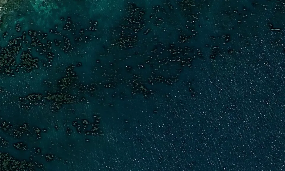 Satelite image of Malva Real