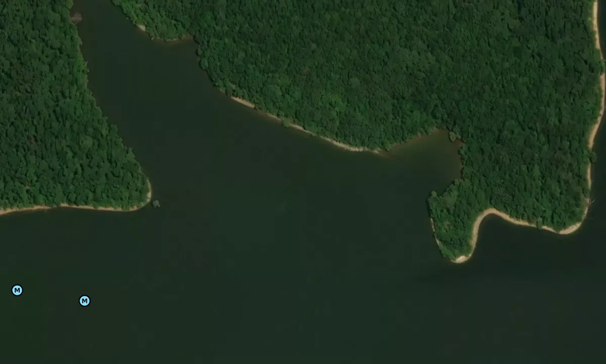 Satelite image of Mammoth Cove