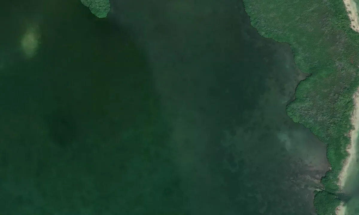 Satelite image of Manatee Bay East
