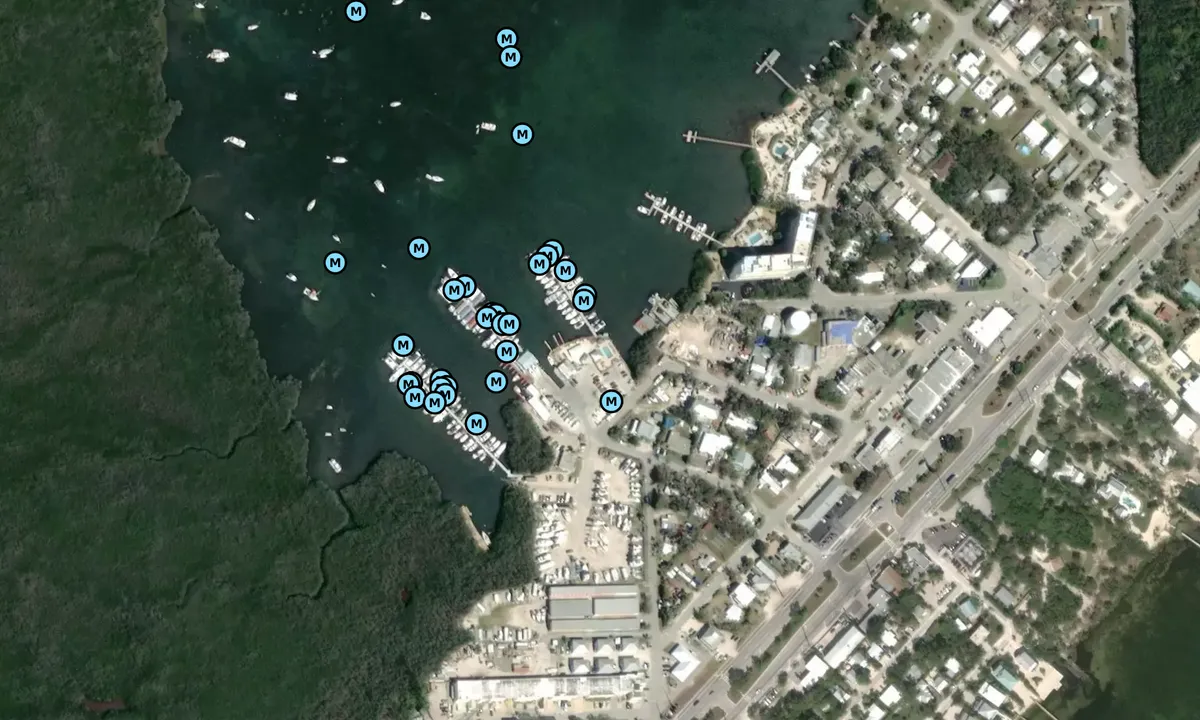 Satelite image of Mangrove Marina - Tavernier