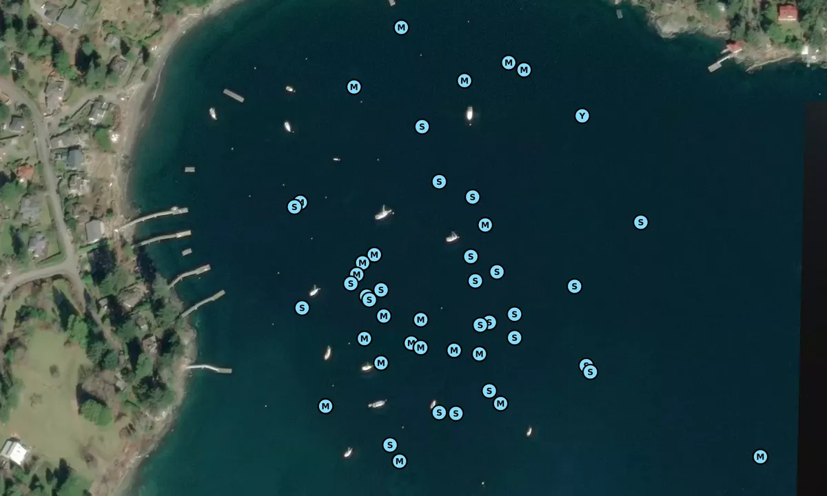 Satelite image of Mannion Bay
