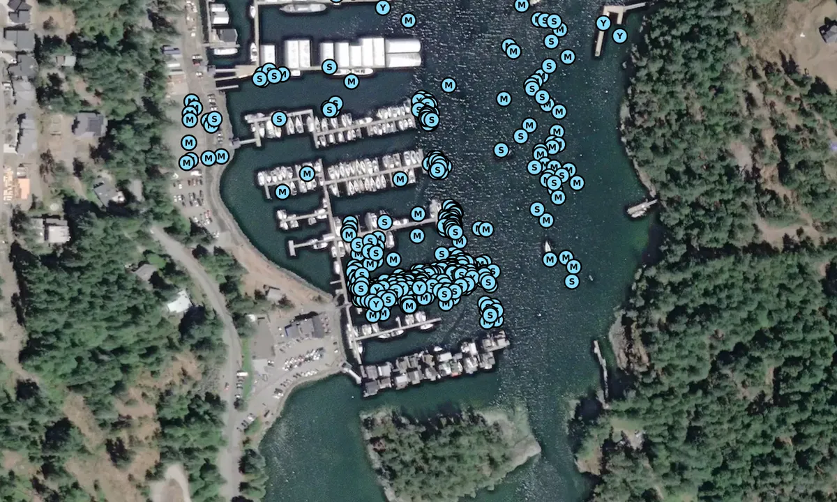 Satelite image of Maple Bay Marina - Ladysmith