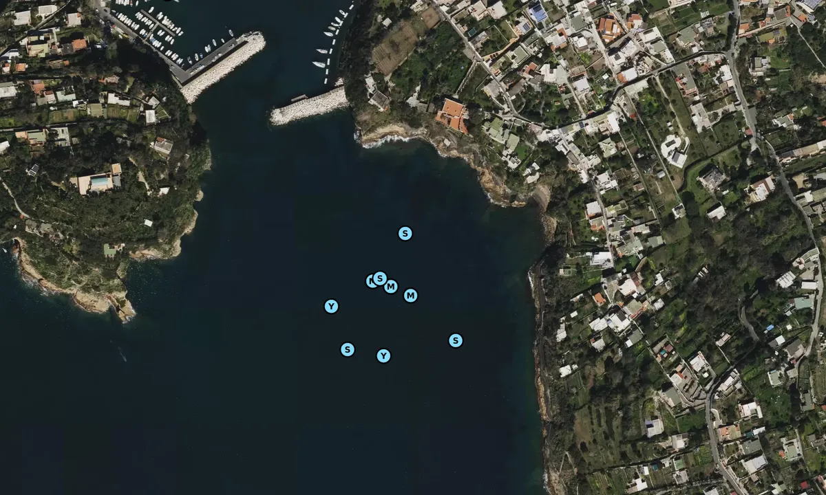 Satelite image of Mar di Chiaiolella