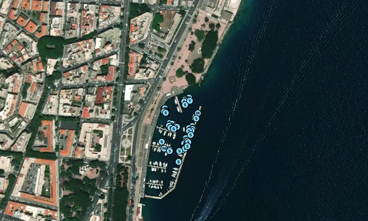 Satelite image of Marina Del Nettuno