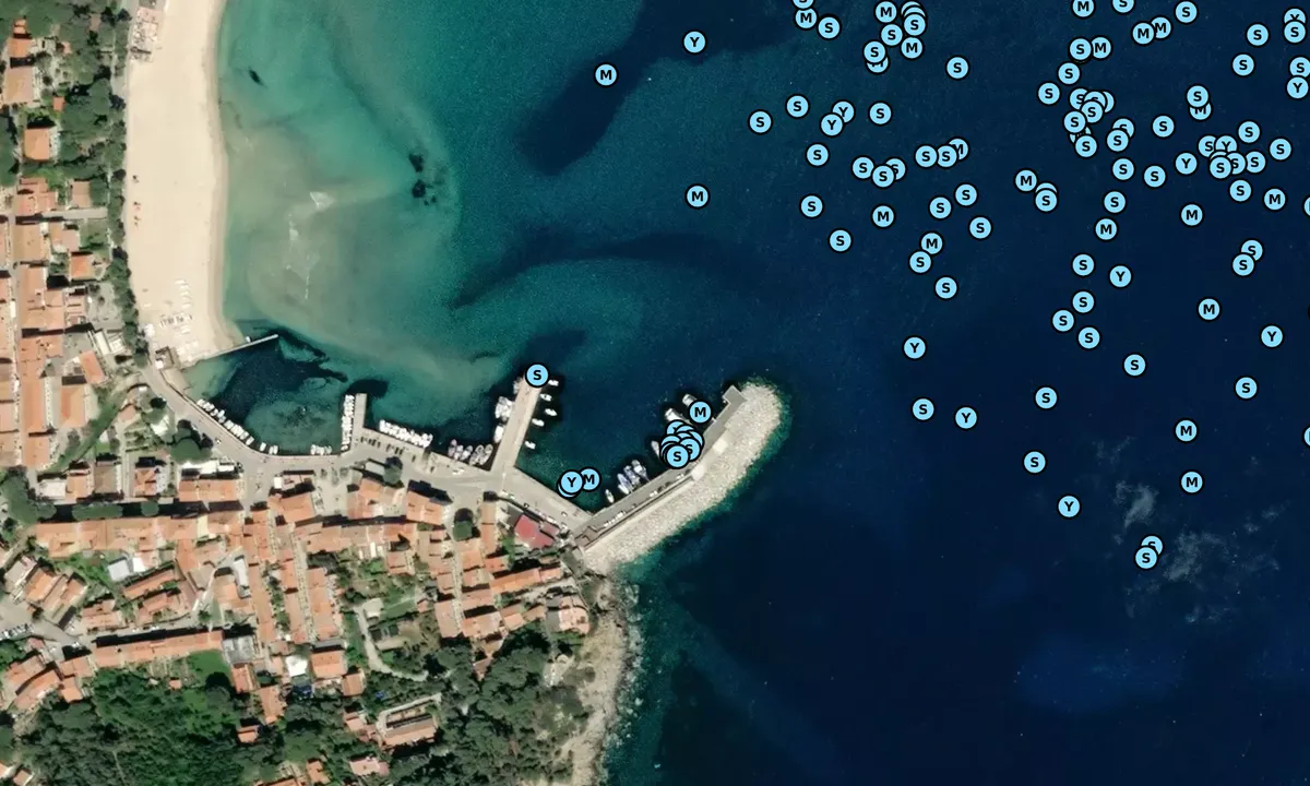Satelite image of Marina di Campo 1