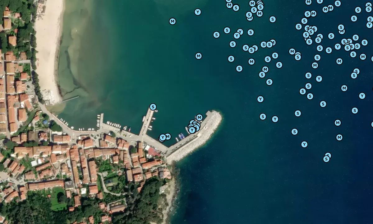 Satelite image of Marina di Campo 1