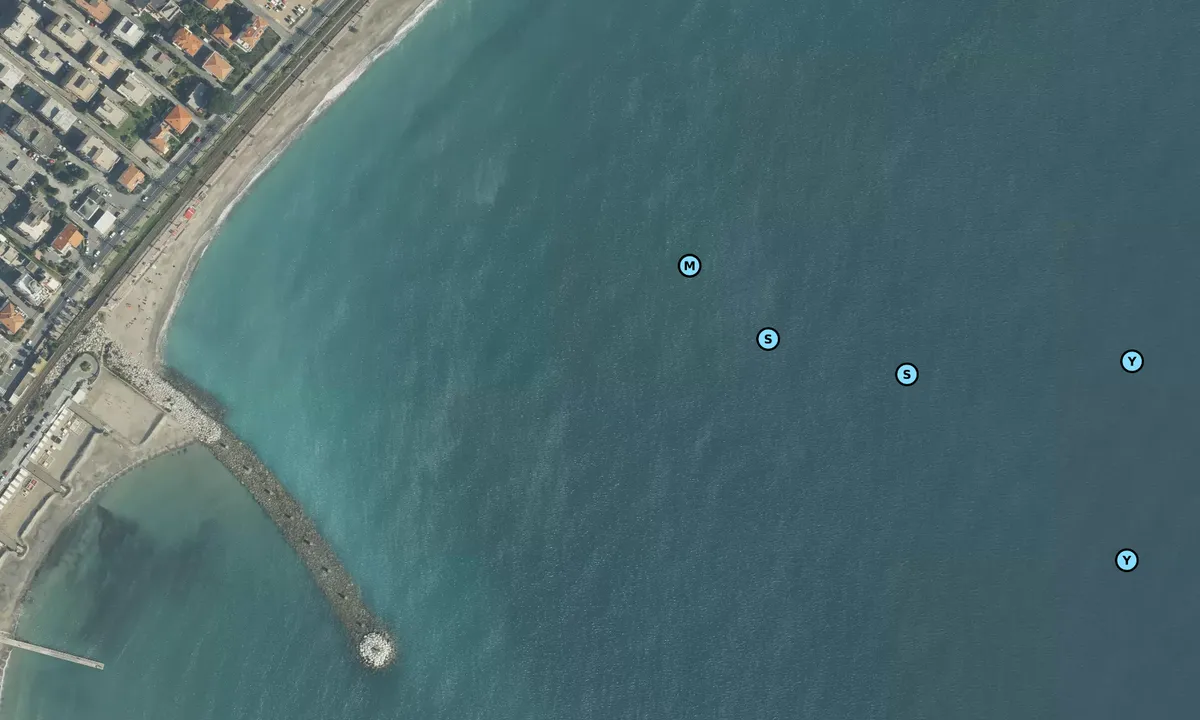 Satelite image of Marina di Loana Anchorage
