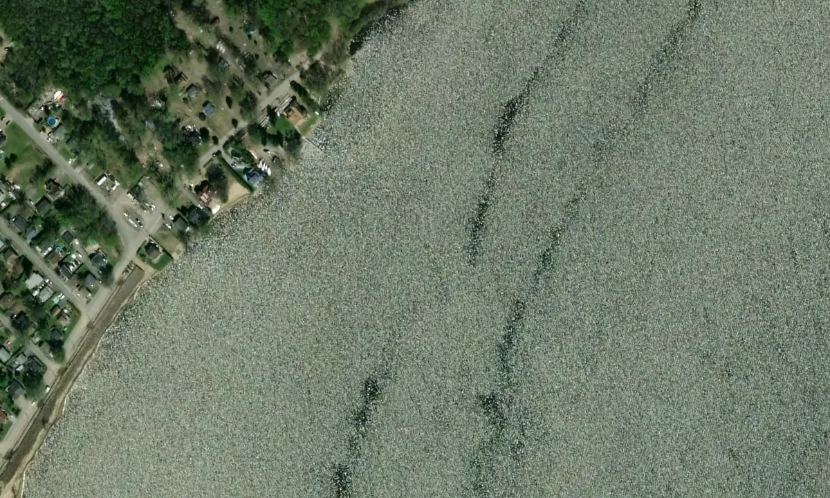 Satelite image of Marina Quai du Capitaine