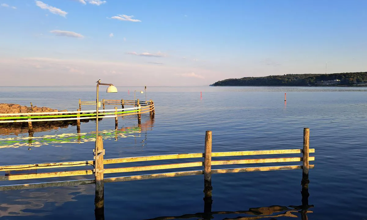 Marselisborg Lystbådehavn