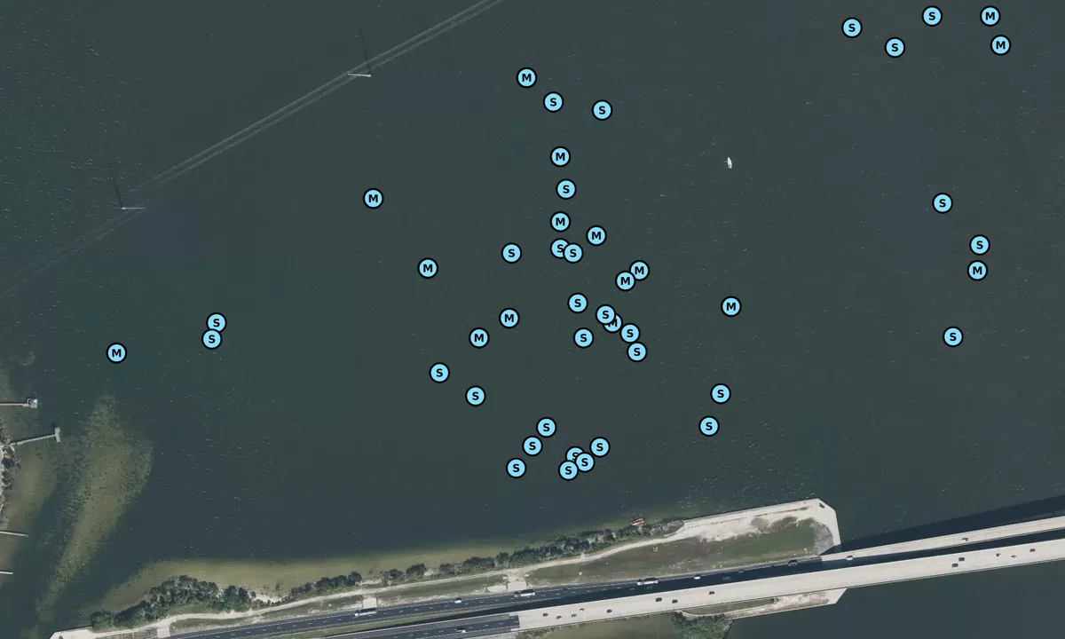 Satelite image of Martin Andersen Beachline
