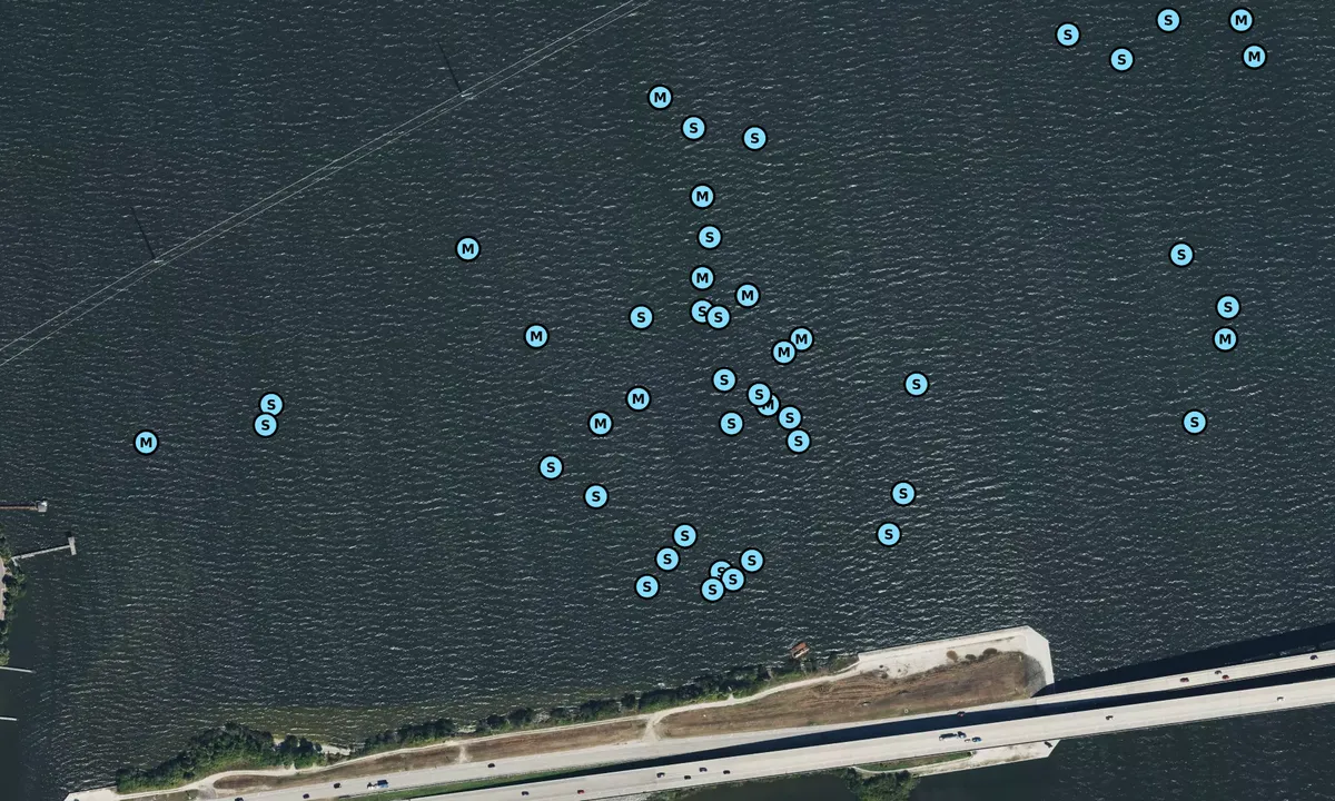 Satelite image of Martin Andersen Beachline