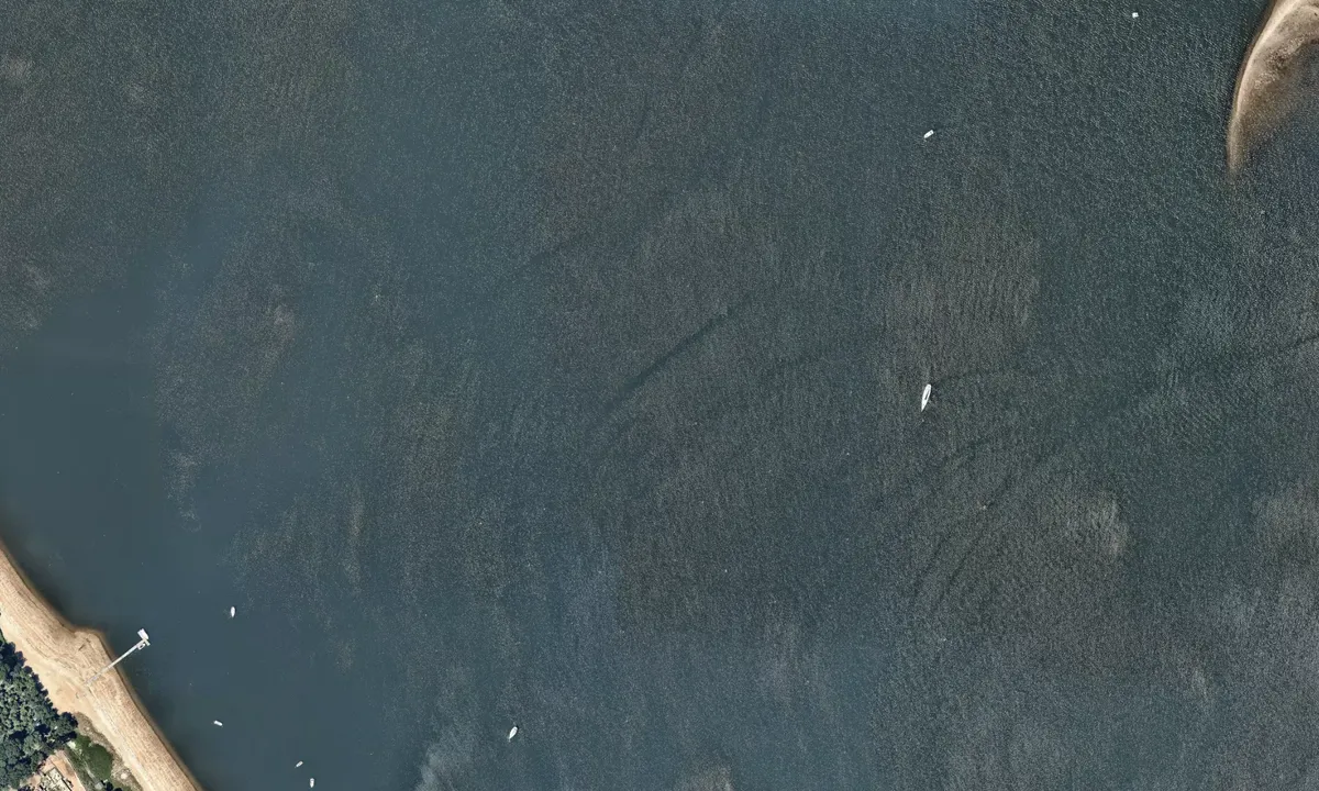 Flyfoto av Masthead Cove Yacht Club 1