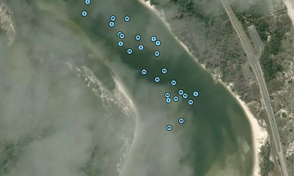 Satelite image of Matanzas Inlet-2