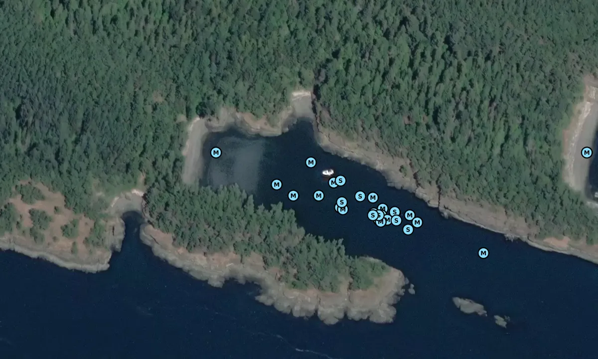 Satelite image of Matia Cove