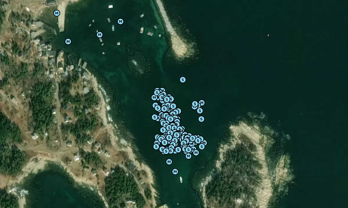 Satelite image of Matinicus Island
