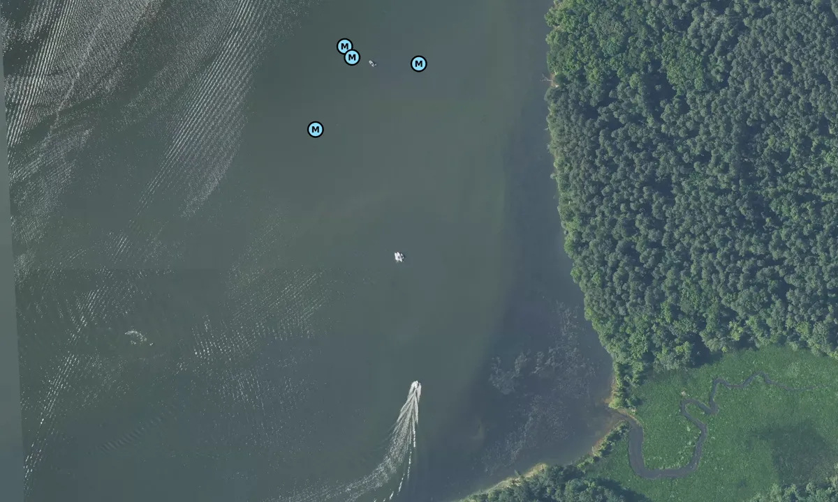 Satelite image of Mattawoman Creek - 2