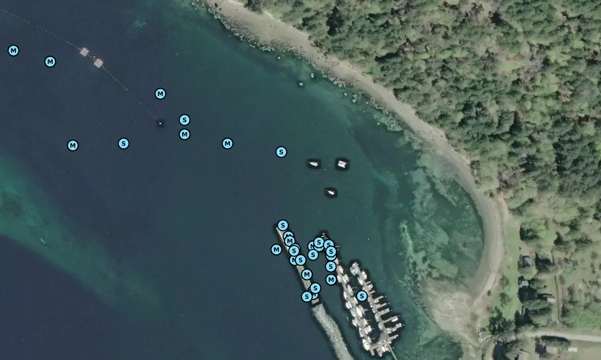 Satelite image of Maude reef