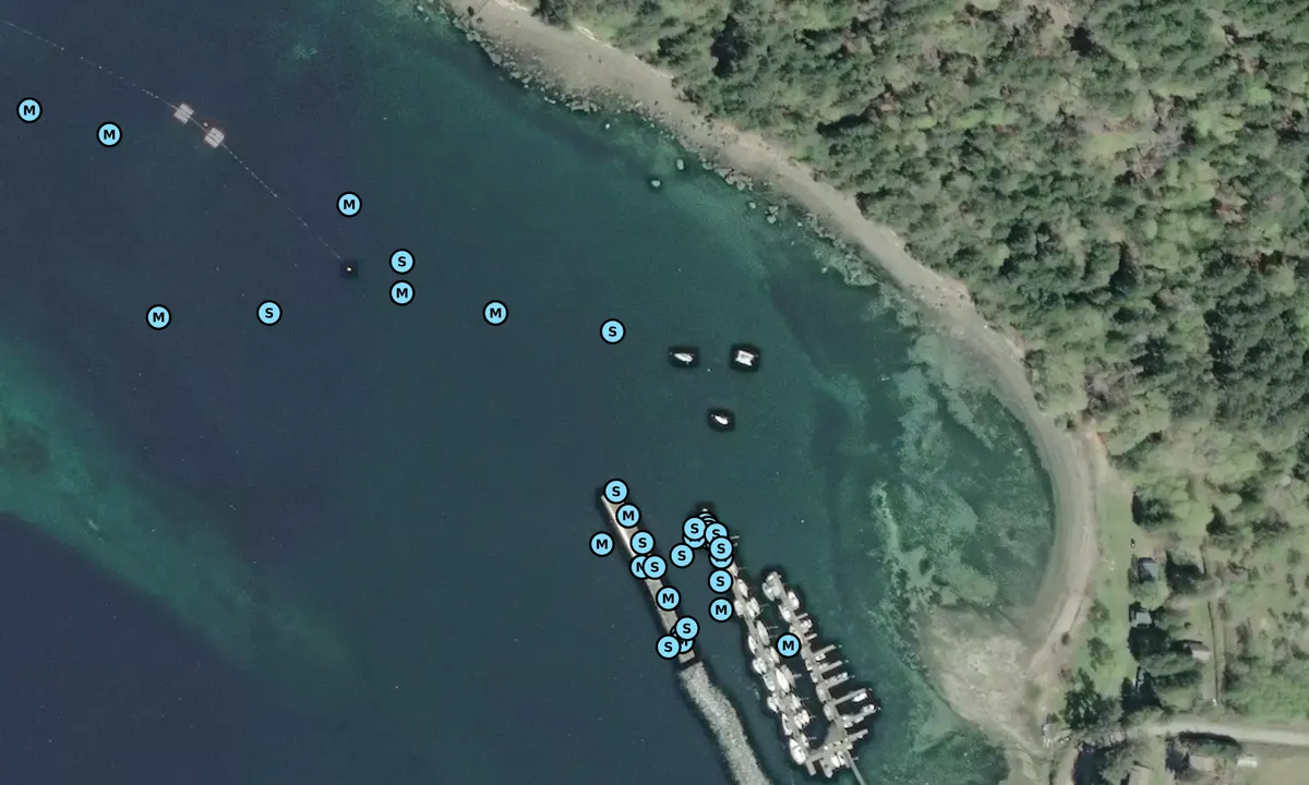 Satelite image of Maude reef