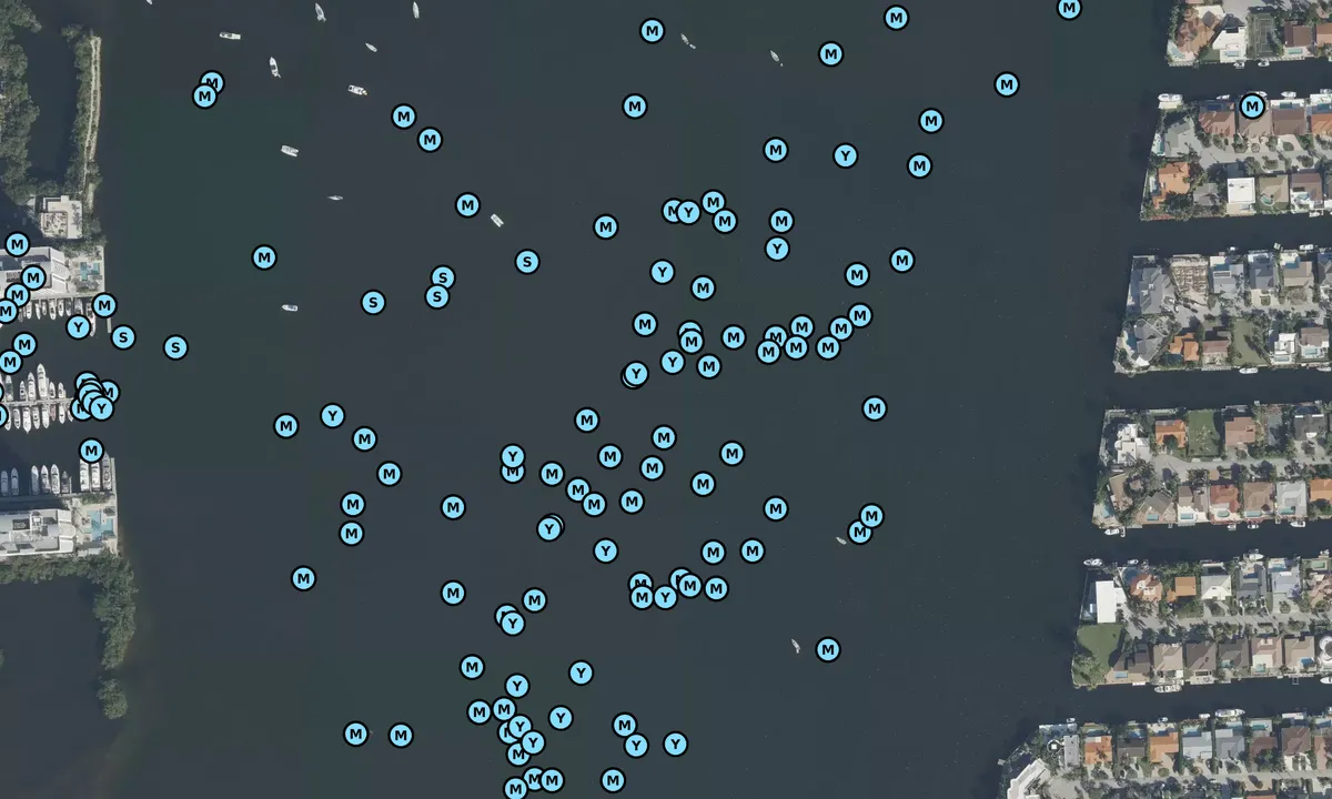 Satelite image of Maule Lake - Golden Beach