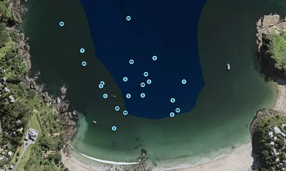 Satelite image of Mawhitipana Bay