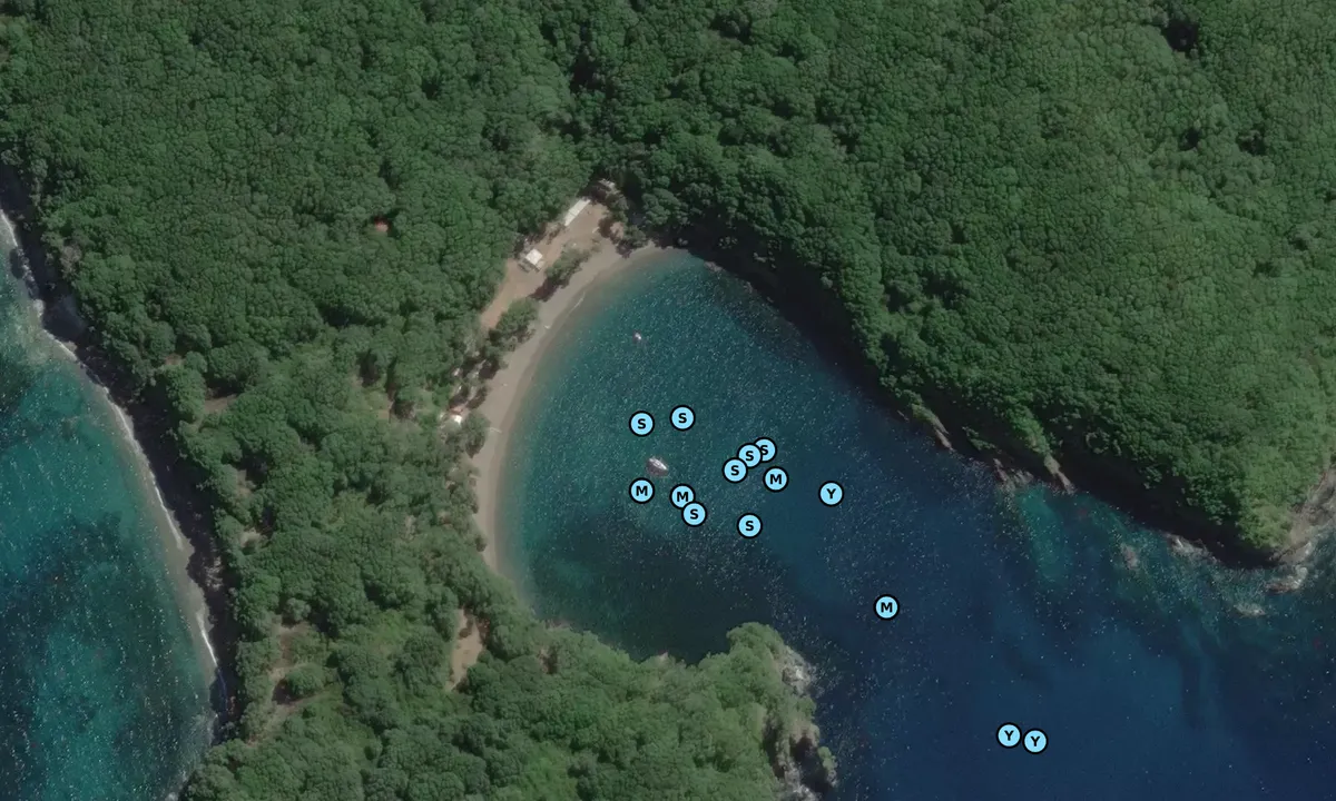 Satelite image of Mayor Island South-East Bay