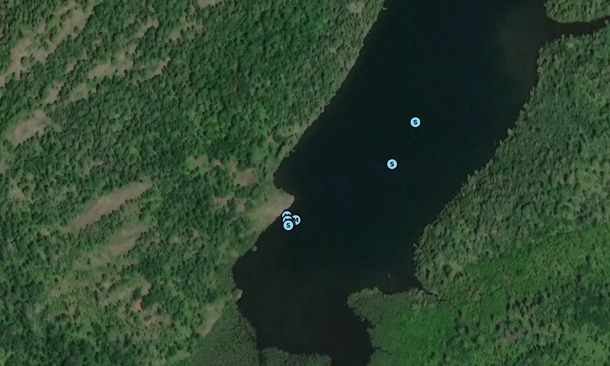 Satelite image of McCargoe Cove