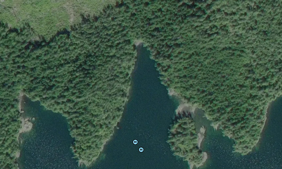 Satelite image of McIntosh Bay East