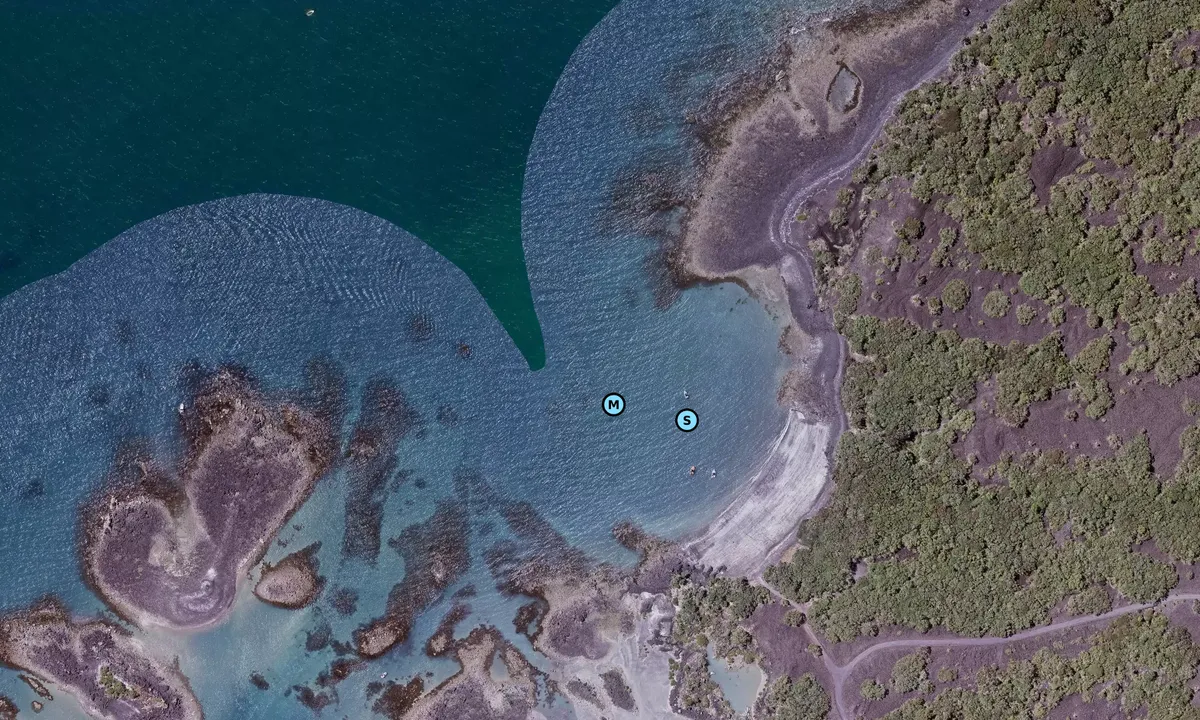 Satelite image of McKenzie Bay