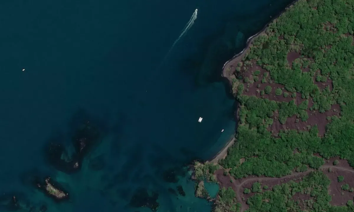 Flyfoto av McKenzie Bay
