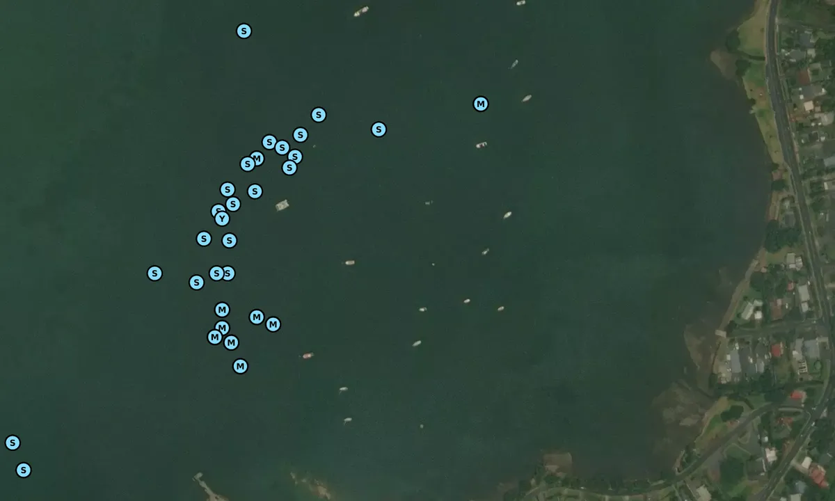 Satelite image of Mcleod Bay