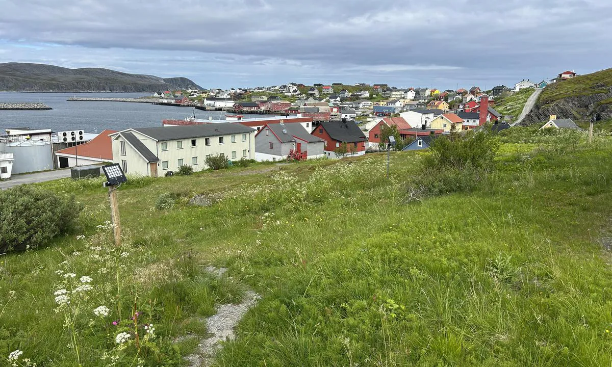 Mehamn: {"base": "no", "no": "Innseiling med ytre og indre molo", "se": "Infart med yttre och inre v\u00e5gbrytare", "en": "Entry with outer and inner breakwater", "da": "Indsejling med ydre og indre mole", "fr": "Approche par brise-lames ext\u00e9rieure et int\u00e9rieure", "de": "Zufahrt mit \u00e4u\u00dferem und innerem Wellenbrecher", "es": "Entrada con rompeolas exterior e interior", "it": "Entrata con frangiflutti esterni e interni", "pt": "Aproxima\u00e7\u00e3o com quebra-mar externo e interno", "nl": "Binnenkomst met buitenste en binnenste pier", "pl": "Wej\u015bcie przez zewn\u0119trzny i wewn\u0119trzny falochron", "uk": "\u0412\u0445\u0456\u0434 \u0456\u0437 \u0437\u043e\u0432\u043d\u0456\u0448\u043d\u044c\u043e\u044e \u0442\u0430 \u0432\u043d\u0443\u0442\u0440\u0456\u0448\u043d\u044c\u043e\u044e \u043c\u043e\u043b\u0430\u043c\u0438", "ro": "Intrare cu dig exterior \u0219i interior", "tr": "D\u0131\u015f ve i\u00e7 mendirekle limana giri\u015f", "el": "\u0395\u03af\u03c3\u03bf\u03b4\u03bf\u03c2 \u03bc\u03b5 \u03b5\u03be\u03c9\u03c4\u03b5\u03c1\u03b9\u03ba\u03cc \u03ba\u03b1\u03b9 \u03b5\u03c3\u03c9\u03c4\u03b5\u03c1\u03b9\u03ba\u03cc \u03bc\u03cc\u03bb\u03bf", "cs": "Vplut\u00ed s vn\u011bj\u0161\u00ed a vnit\u0159n\u00ed hr\u00e1z\u00ed", "hu": "K\u00fcls\u0151 \u00e9s bels\u0151 hull\u00e1mt\u00f6r\u0151 g\u00e1takkal rendelkez\u0151 bej\u00e1rat", "fi": "Sis\u00e4\u00e4ntulo ulko- ja sis\u00e4murtosataman kautta", "bg": "\u0412\u043b\u0438\u0437\u0430\u043d\u0435 \u0441 \u0432\u044a\u043d\u0448e\u043d \u0438 \u0432\u044a\u0442\u0440e\u0448\u0435\u043d \u043c\u043e\u043b", "sr": "\u0423\u043b\u0430\u0437 \u0441\u0430 \u0441\u043f\u043e\u0459\u043d\u0438\u043c \u0438 \u0443\u043d\u0443\u0442\u0440\u0430\u0448\u045a\u0438\u043c \u043c\u043e\u043b\u043e\u043c", "et": "Sissep\u00e4\u00e4s v\u00e4lis- ja sisemole kaudu", "lv": "Iebrauk\u0161ana caur \u0101r\u0113jo un iek\u0161\u0113jo molu", "lt": "\u012eplaukimas su i\u0161oriniu ir vidiniu molais"}