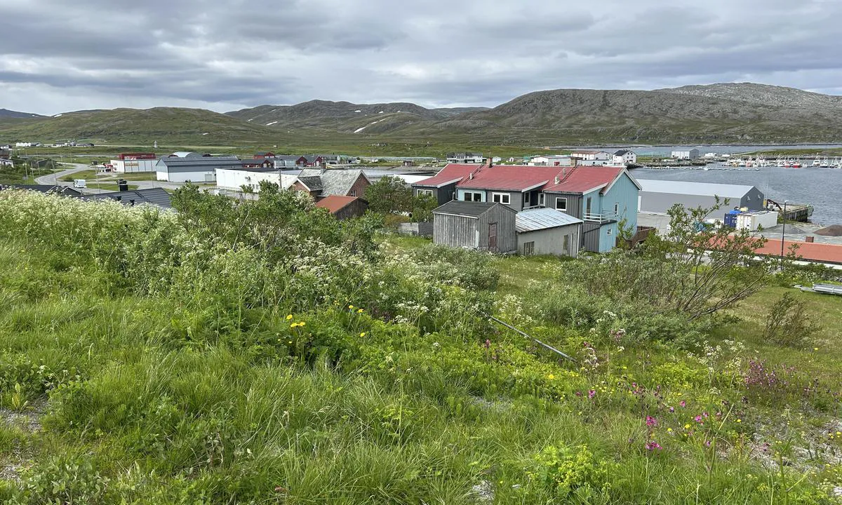 Mehamn