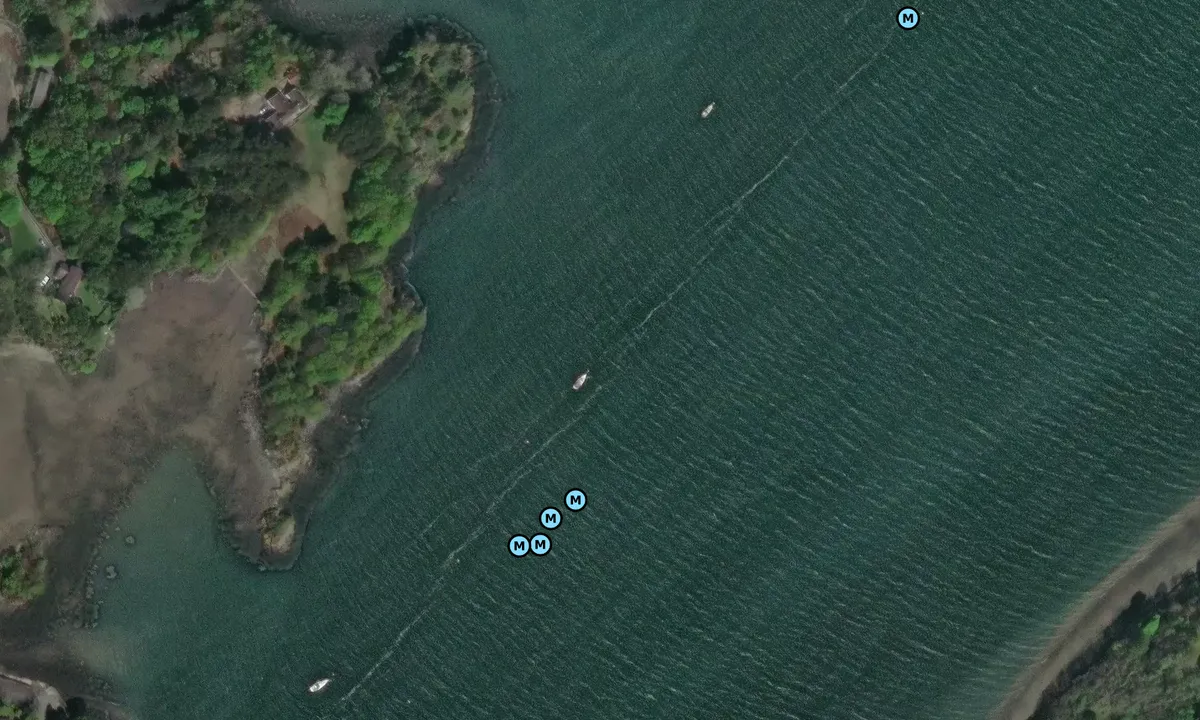 Satelite image of Menai Strait Yellow Moorings