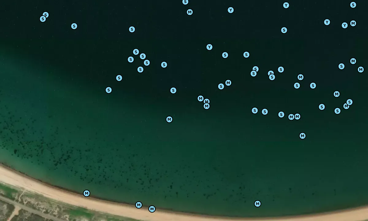 Satelite image of Menemsha Bight - Aquinnah