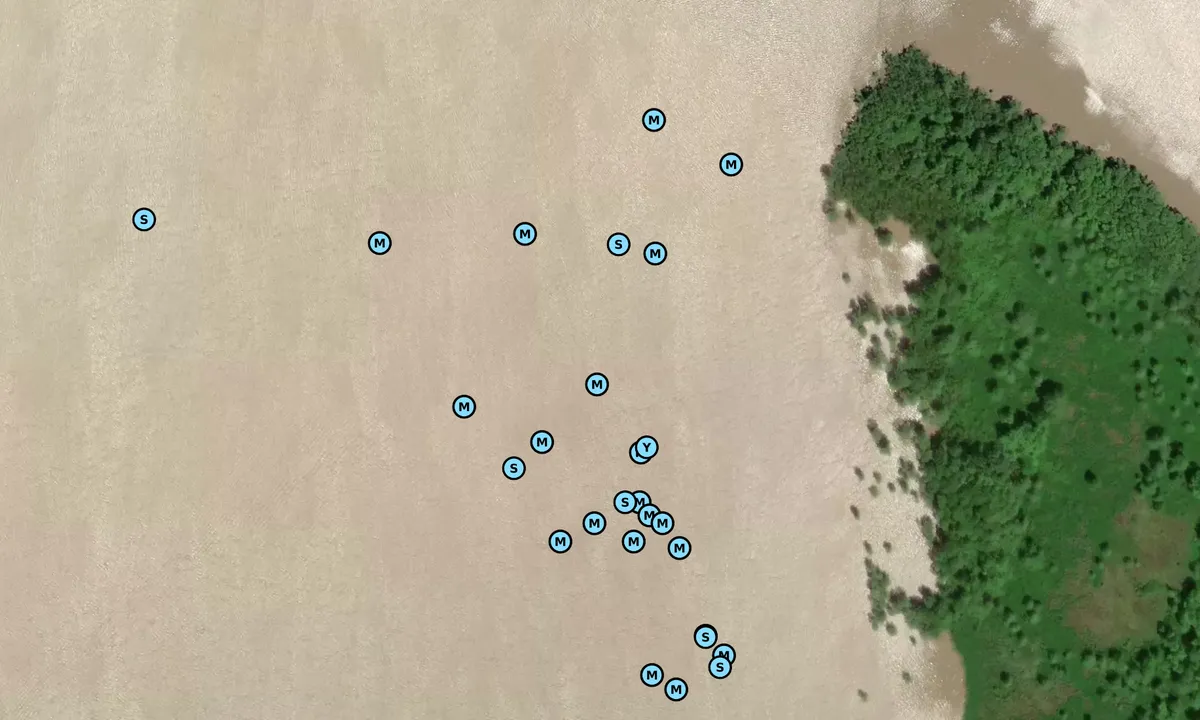 Satelite image of Mermentau River