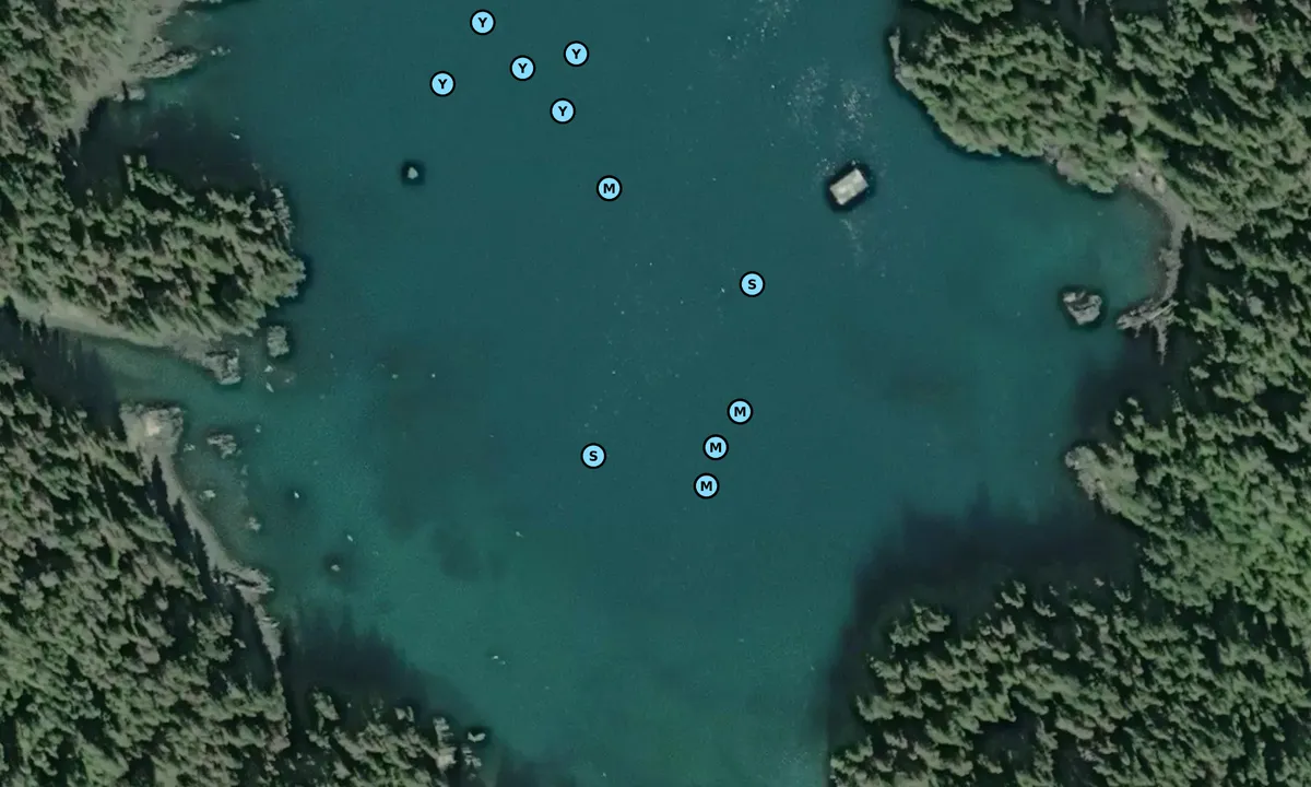 Satelite image of Merrifield Bay